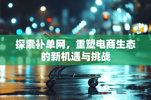 探索补单网，重塑电商生态的新机遇与挑战