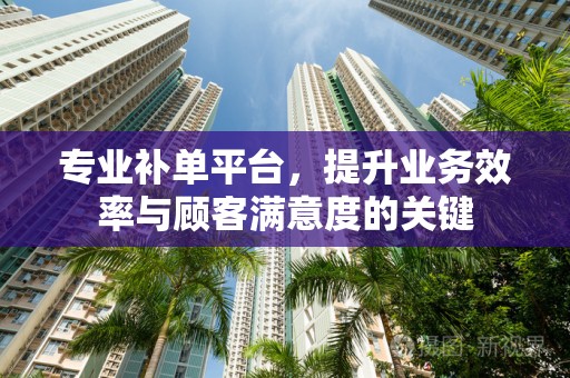 专业补单平台，提升业务效率与顾客满意度的关键