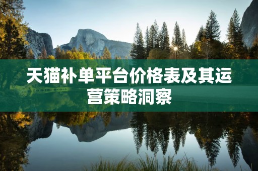 天猫补单平台价格表及其运营策略洞察