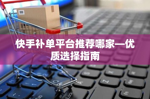 快手补单平台推荐哪家—优质选择指南