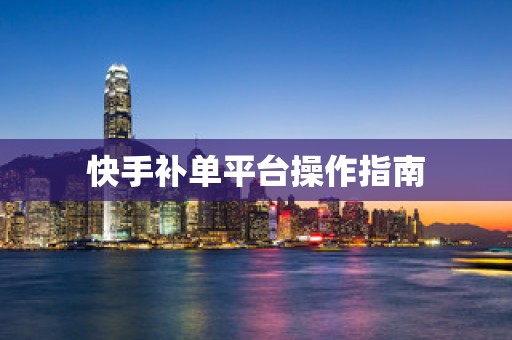 快手补单平台操作指南