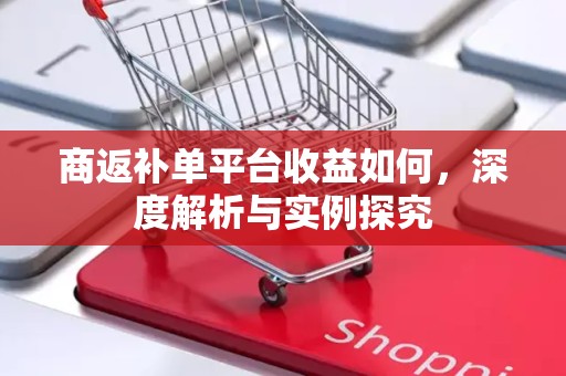商返补单平台收益如何，深度解析与实例探究