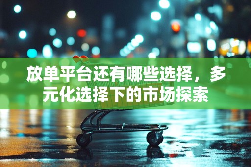 放单平台还有哪些选择，多元化选择下的市场探索