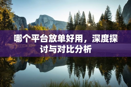 哪个平台放单好用，深度探讨与对比分析