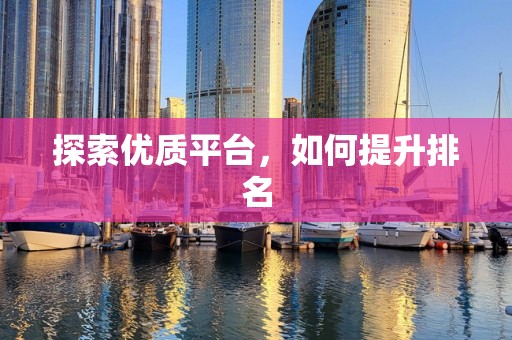 探索优质平台，如何提升排名