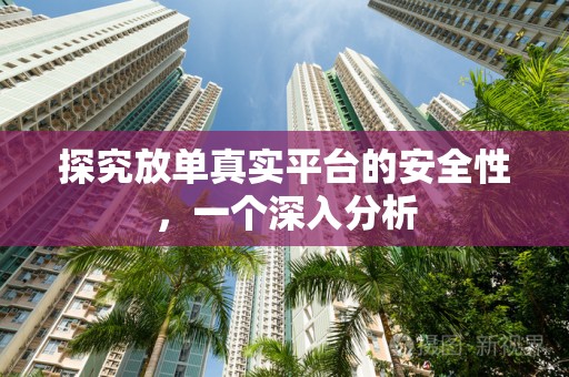 探究放单真实平台的安全性，一个深入分析