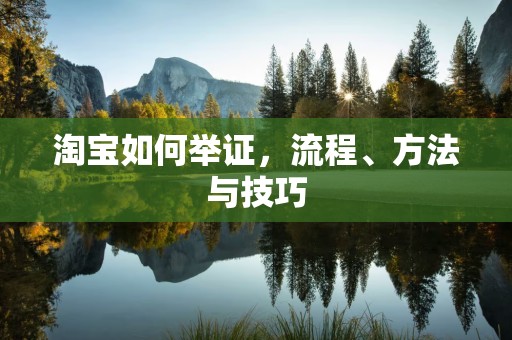 淘宝如何举证，流程、方法与技巧