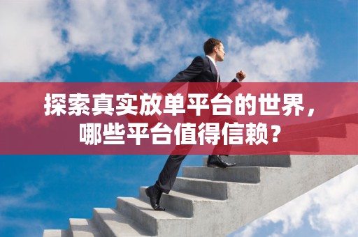 探索真实放单平台的世界，哪些平台值得信赖？