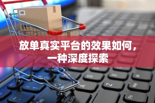 放单真实平台的效果如何，一种深度探索
