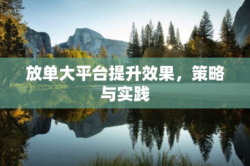 放单大平台提升效果，策略与实践