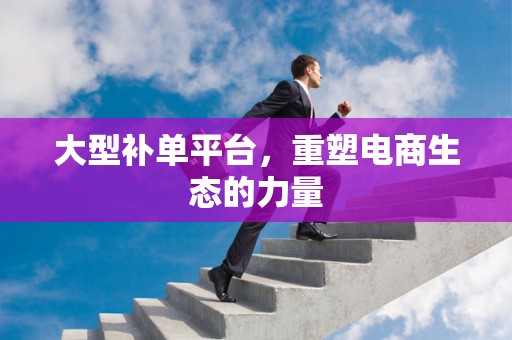 大型补单平台，重塑电商生态的力量