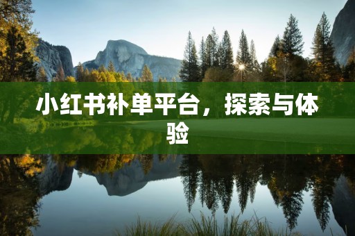 小红书补单平台，探索与体验