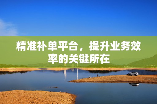 精准补单平台，提升业务效率的关键所在