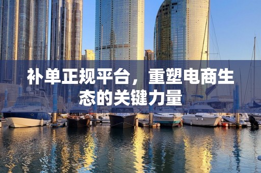 补单正规平台，重塑电商生态的关键力量