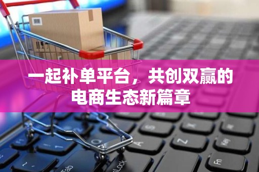 一起补单平台，共创双赢的电商生态新篇章