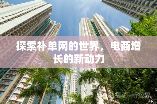 探索补单网的世界，电商增长的新动力