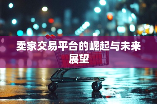 卖家交易平台的崛起与未来展望