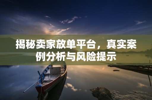 揭秘卖家放单平台，真实案例分析与风险提示