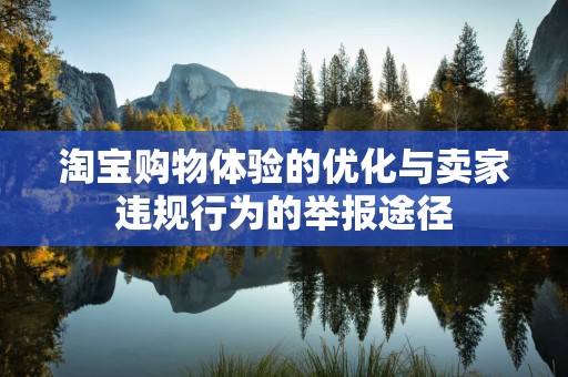 淘宝购物体验的优化与卖家违规行为的举报途径