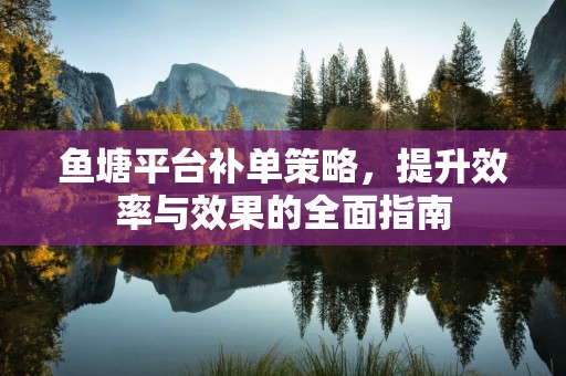鱼塘平台补单策略，提升效率与效果的全面指南
