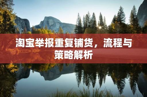 淘宝举报重复铺货，流程与策略解析