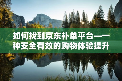 如何找到京东补单平台—一种安全有效的购物体验提升途径探索