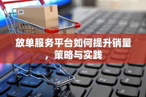 放单服务平台如何提升销量，策略与实践