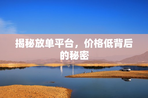 揭秘放单平台，价格低背后的秘密