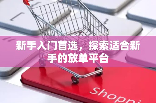 新手入门首选，探索适合新手的放单平台