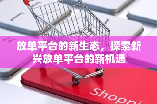 放单平台的新生态，探索新兴放单平台的新机遇