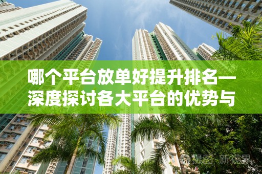 哪个平台放单好提升排名—深度探讨各大平台的优势与策略