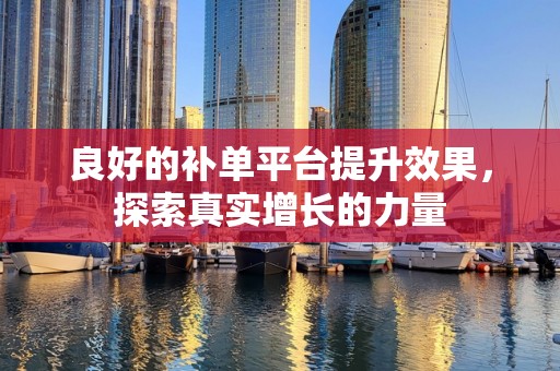 良好的补单平台提升效果，探索真实增长的力量