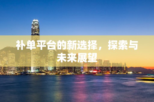 补单平台的新选择，探索与未来展望
