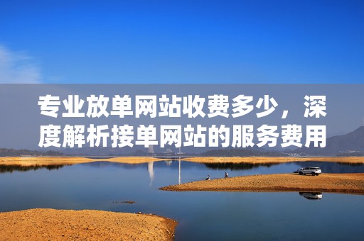 专业放单网站收费多少，深度解析接单网站的服务费用与服务质量