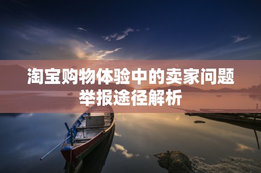 淘宝购物体验中的卖家问题举报途径解析