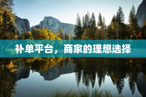 补单平台，商家的理想选择
