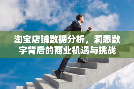 淘宝店铺数据分析，洞悉数字背后的商业机遇与挑战