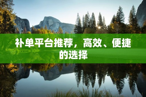 补单平台推荐，高效、便捷的选择