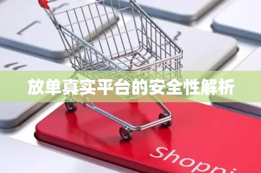 放单真实平台的安全性解析