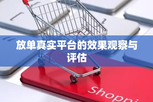 放单真实平台的效果观察与评估