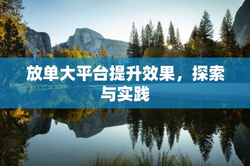 放单大平台提升效果，探索与实践