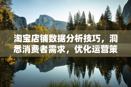 淘宝店铺数据分析技巧，洞悉消费者需求，优化运营策略