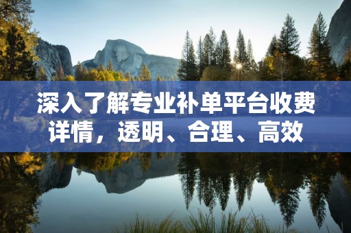 深入了解专业补单平台收费详情，透明、合理、高效