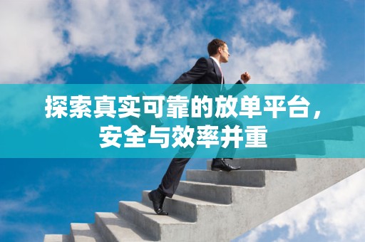 探索真实可靠的放单平台，安全与效率并重