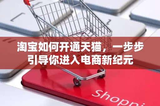 淘宝如何开通天猫，一步步引导你进入电商新纪元