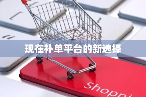 现在补单平台的新选择