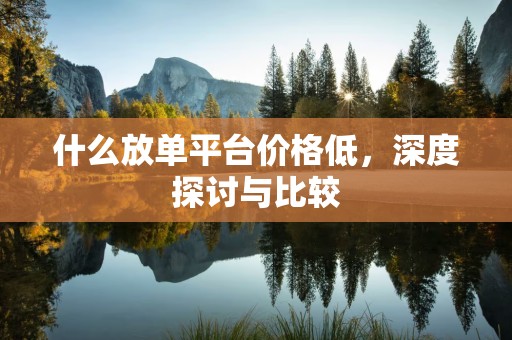什么放单平台价格低，深度探讨与比较