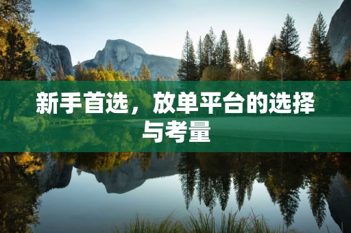新手首选，放单平台的选择与考量