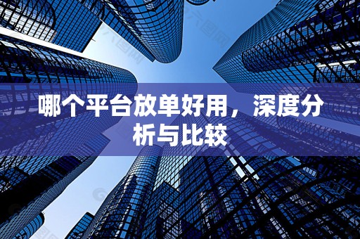哪个平台放单好用，深度分析与比较