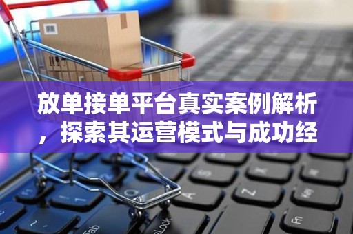 放单接单平台真实案例解析，探索其运营模式与成功经验